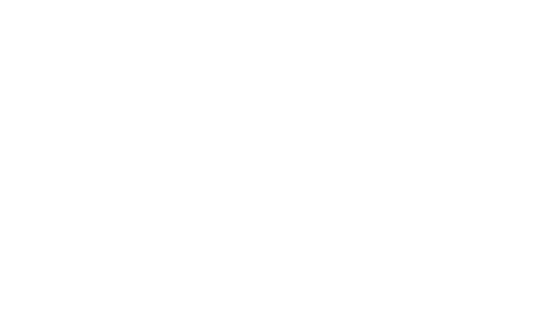 Payndle Logo